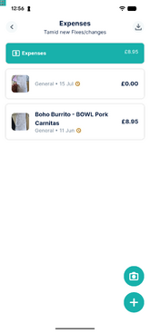 Expense personal mode
