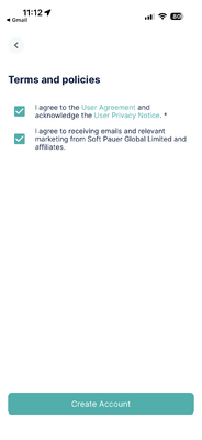 Terms and Conditions confirmation screen